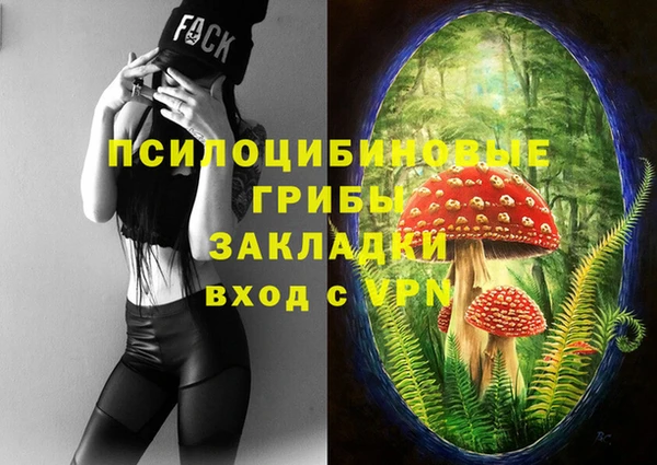 скорость Алзамай