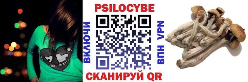 купить  цена  Калач-на-Дону  Галлюциногенные грибы GOLDEN TEACHER 